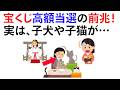 【雑学】宝くじ高額当選者が遭遇する前兆サインはこれ！《Part16》