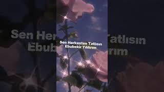Sen Herkesten Tatlısın - Ebubekir Yıldırım