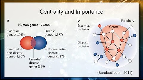 Ciência de Redes e Análise de Redes Complexas  - Ciência|Visualização|Dados|Saúde