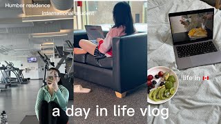 a day in life vlog cooking, studying | *Humber College Residence*