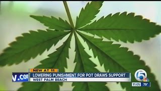 Marijuana descriminalization in Florida