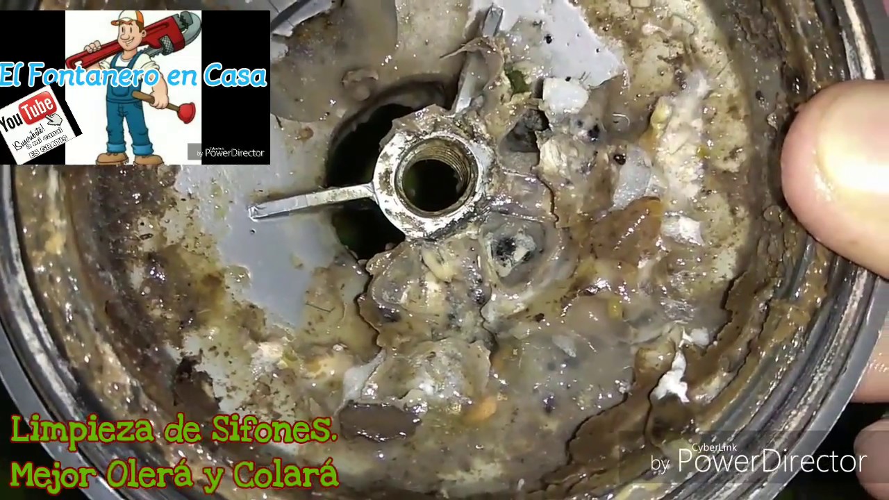 Cómo limpiar el tubo sifónico del fregadero? - Dual Pipe