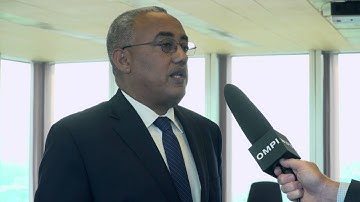 Summary: 11th Session of WIPO’s Advisory Committee on Enforcement (ACE)