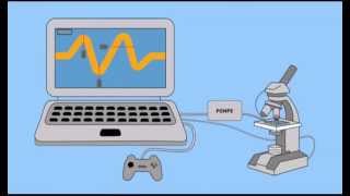 Bactman, Le Héros De La Bio-Console