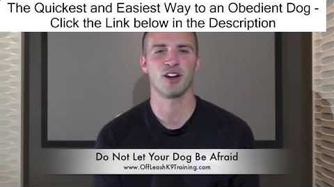 Confidence Building Part 1 of 5 Noise Desensitization Fearful Dog Training - How To Confidence