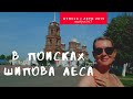 Бутурлиновка. В поисках Шипова леса. Отпуск лето2019. Выпуск №7