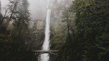 Homeomorphic - Fluctuate