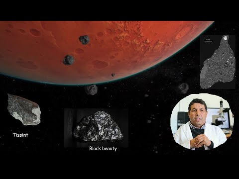 كل ما يجب معرفته عن أشهر نيزكين مريخيين الشهيرين تيسينت والجمال الأسود مع إبهي عبد الرحمن