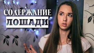 ЦЕНА ЛОШАДИ | Затраты и содержание