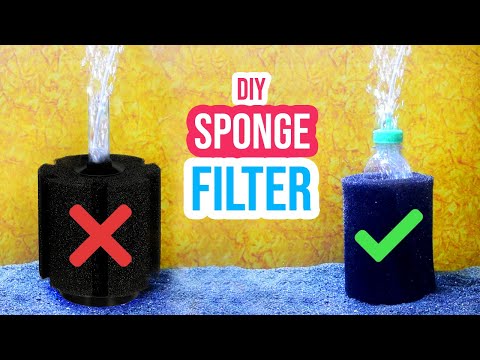 Save Money with a DIY Sponge Filter for Your Fish Tank