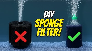 DIY Sponge Filter for Aquarium | How to Make a Bio Sponge Filter for Your Fish Tank