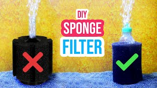 Save Money with a DIY Sponge Filter for Your Fish Tank