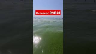 Витязево сегодня 02.09.23 #анапа #витязево #море #отпуск