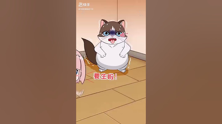 王多喵:  如何在家给猫接生？收好这份接生指南，避免慌手慌脚哦