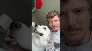 How I take breaks from gaming #gaming #contentcreator #dog #buffdock