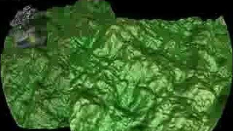 voxel shadows and fisheye