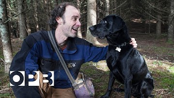 Truffle Hunting 101 | OPB