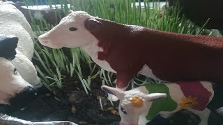 Schleich at the pasture by Babytappy 17 views 2 days ago 42 seconds