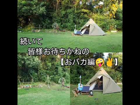 庭生活(テント泊⛺)２年半の纏め【Coleman ティピーテント⛺】による生活風景