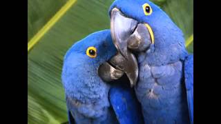 It takes two-Marvin Gaye & Kim Weston