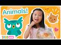 Discover Animals &amp; Nature! 🦁🌎 | Fun Animal Facts &amp; Nature Adventures for Kids | Sago Mini