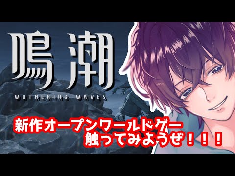 【#鳴潮】新作ARPGやってみようぜﾒｪﾝ【#Vtuber】