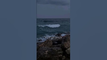 أكتب شيء تؤجر #quran #اكسبلور #المصحف #قرآن #قران_كريم #عبدالرحمن_مسعد #سورة_العنكبوت