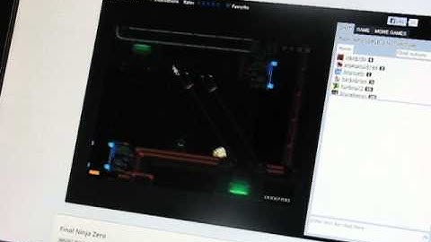 Final Ninja Level 20