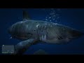 Grand Theft Auto V, Great White Shark