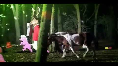 APPARAT - Fractales I & II