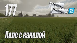 Farming Simulator 22 [карта Элмкрик], #177 Покупка поля с канолой