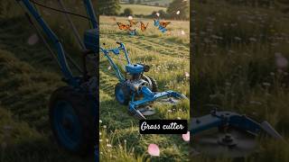 Rust vanished, this meadow captures hearts forever#GrassRestoration #OddlySatisfying