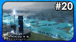 Planted Schism [Death Stranding: Director's Cut] [#20]