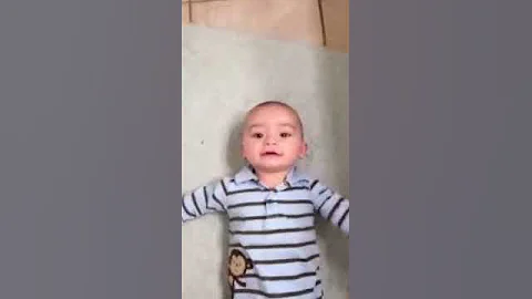Silly Noah