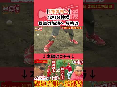 【得点力解消へ】代打の神様・ベテラン松山竜平の1軍昇格は?【球団認定】カープ全力応援チャンネル