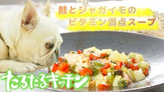 【簡単！獣医師監修・犬の手作りごはん】シュウ酸カルシウム結石ケア・鮭とじゃがいものビタミンスープ