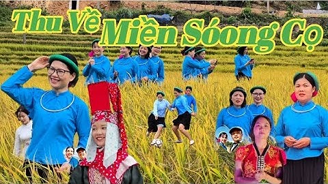 Thu Về Miền Sóong Cọ | ST: Ngọc Lý, BD: Hà Vui |  Hội Mùa Vàng Miền Sóong Cọ Đại Dực | THÁI VITV