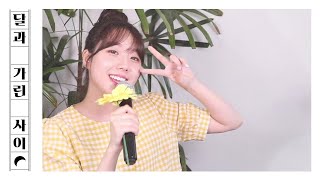 #달과가린사이 07. 다시 여기 바닷가 - 싹쓰리