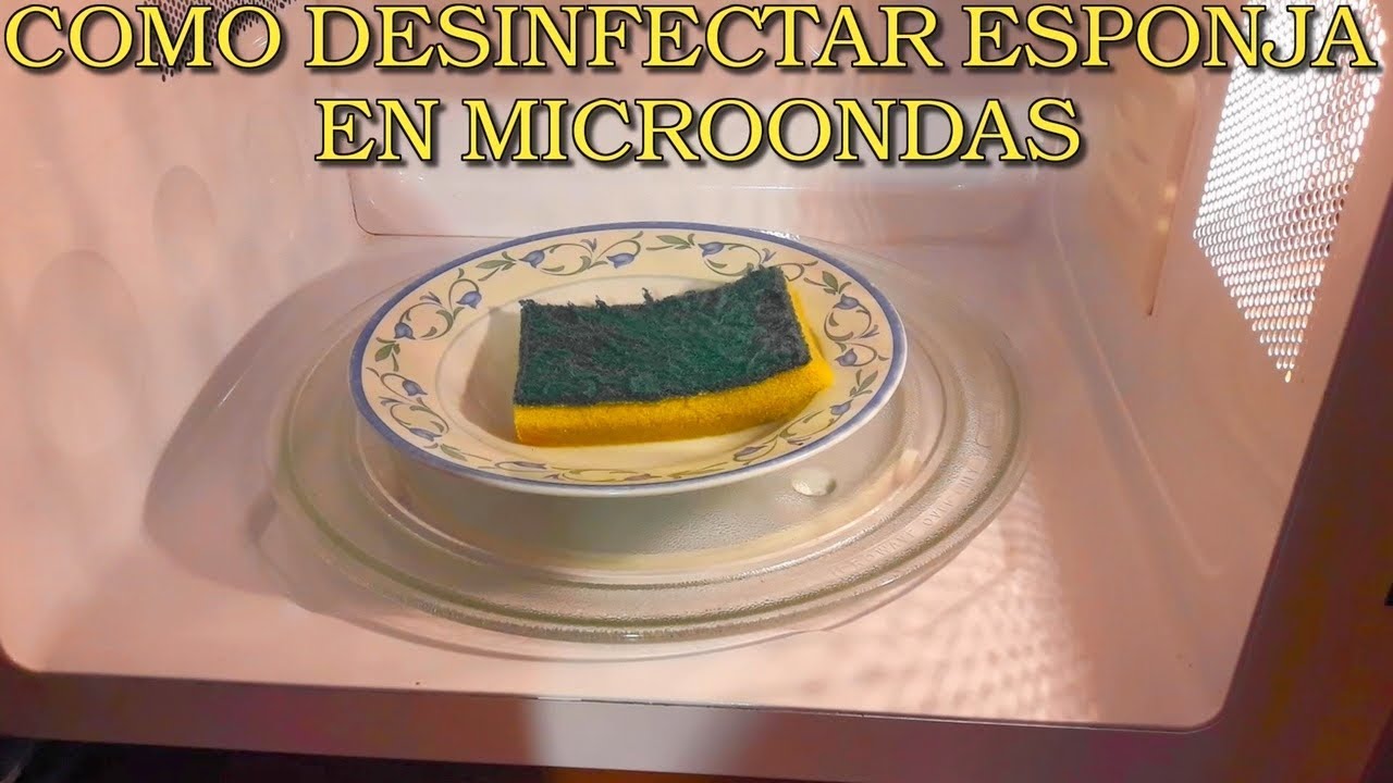 Un microbioma de esponja de cocina: Lo que no te mata, te hace más fuerte!  - ¿Es buena idea limpiar la esponja calentándola en el microondas?