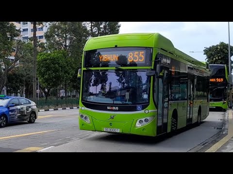(Cameo) SG3000T(MDDEP) On Service 855 At Yishun Avenue 2 - YouTube