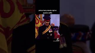 Prince Harry stands vigil at Queens Elizabeth coffin