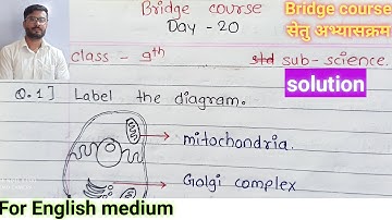 Bridge course day 20 class 9 science complete exercise solution for English medium setu abhyaskram
