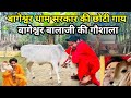 BAGESHWAR DHAM की गौशाला। धीरेंद्र कृष्ण जी 👍 Punganuru और Tharparkar गाय।