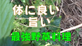 【小春ごはん】身体に良い最強の野草料理。摘んで食べて元気に行こう。自然の中に飛び出そう。