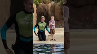 A little fish on your hands no problem! Dolphin Adventures #shorts  #seaworld  #dolphin