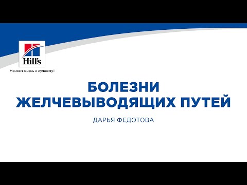 Вебинар на тему: «Болезни желчевыводящих путей». Лектор – Дарья Федотова.