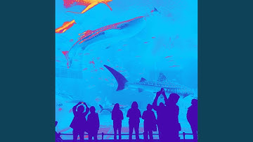 Superlative Virtual Fantasy