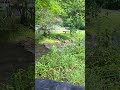Video of Conley's Creek Campground, NC from Susan A.