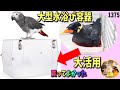 中型～大型インコ用 水浴び容器に大興奮の九官鳥｜HOEIオカメ465に設置｜ヨウム、オウム、コニュア、オカメインコなど 動画1375