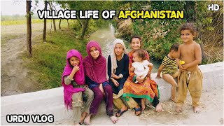 Village life in Afghanistan | Kama District | Nangarhar | 4K